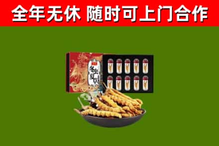 沈丘县烟酒回收冬虫夏草礼盒.jpg